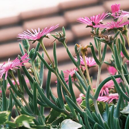 Comecasa Flowery Terraced Apartment Milán Exteriér fotografie